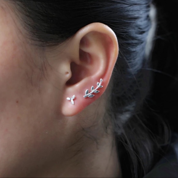 Sterling Silver 925 Stud Earrings - Picture 4 of 4